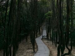 -火炉山森林公园