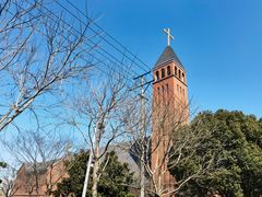 -贡湖湾湿地公园