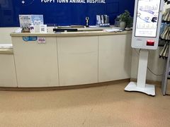 -芭比堂宠物医院·全科爱猫医院·仁德分院
