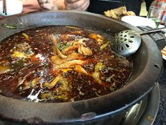 石锅江团-秦巴石锅鱼(文化南路店)