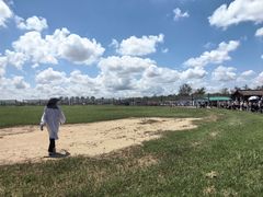 -盐城丹顶鹤湿地生态旅游区