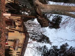 -T80科技文化国际社区-停车场