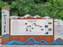 -石台牯牛降景区