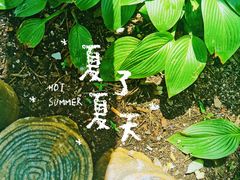 -北宫国家森林公园