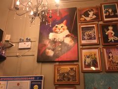 -猫咪博物馆(顶澳仔猫街店)