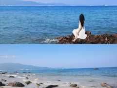 -杨梅坑