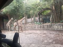 -长鹿旅游休博园