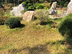 -东莞植物园