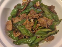 -九毛九西北菜(大东海店)