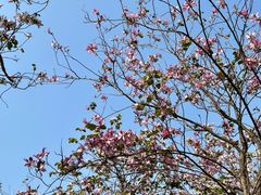 -广州市白云区图书馆