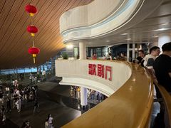 -合肥大剧院