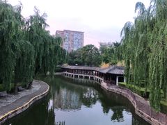 -团结湖公园
