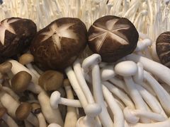 -九府羊·鲜羊火锅·烤串(新华路店)