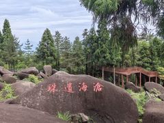 -玉苍山国家森林公园