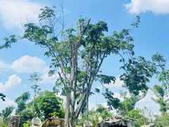 -海南热带野生动植物园