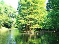 -上海共青森林公园