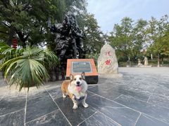 -大槐树寻根祭祖园