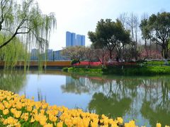 -圩墩遗址公园
