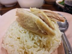 -鸡饭店