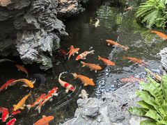 -广州白天鹅宾馆