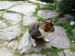 -静安公园(静安寺街道)