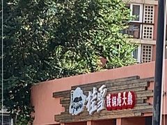 -挂雪铁锅炖大鹅