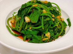 番薯苗-半岛宴·湛江精品菜(蛇口广场店)