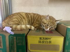 -弘烨 贵州酸汤 鱼火锅(东财店)