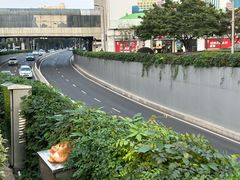 -泽田本家·铜锣烧(美罗城店)