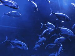 -波塞冬旅游度假区