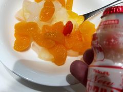 -JR东日本大都会大饭店东京城