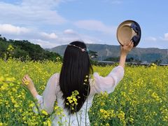 -光明小镇欢乐田园