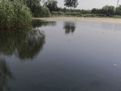 -大兴滨河森林公园