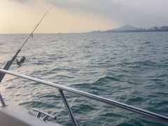 -小猫钓鱼海钓俱乐部(椰梦长廊店)