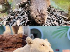 -陕西自然博物馆