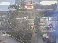 -湖畔鲁菜·二十年老字号餐厅(大明湖店)