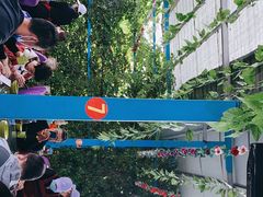 -马白开来特色羊排揪片子  (总店)