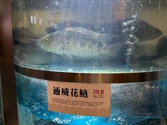 -老船舫·现做活鲜鱼馆(东郊记忆店)