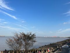 -上海滨江森林公园