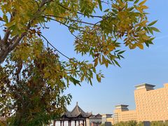 -党河风情线国家水利风景区