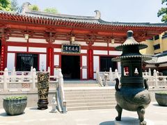 -灵谷景区