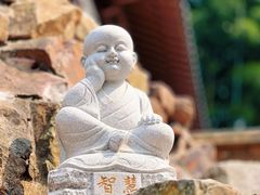 -宝岩生态观光园