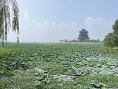 -上海东林寺(金山区)