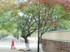 -八大关景区