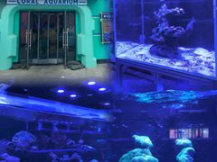 -海合安武汉极地海洋公园