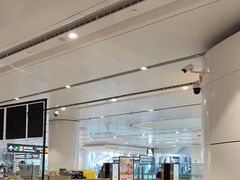 -麦当劳(北京大兴机场二层国内到达(安检外)店)