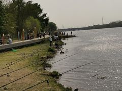 -长白岛森林公园