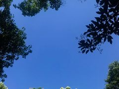 -绮园景区
