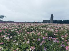 -江苏三台山国家森林公园