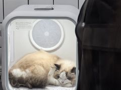 -BABIT巴比特宠物(MOMOPARK店)